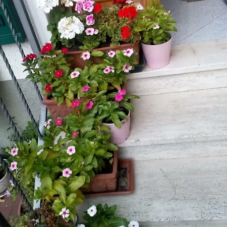 Apartmán Soluna Maresca