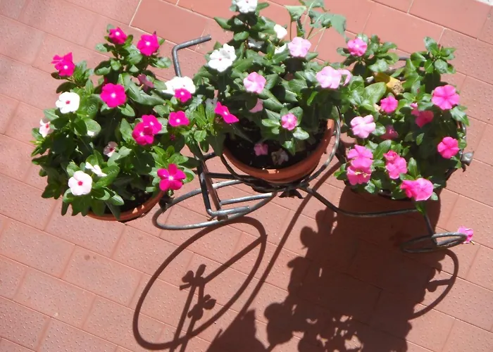 Soluna Apartament *