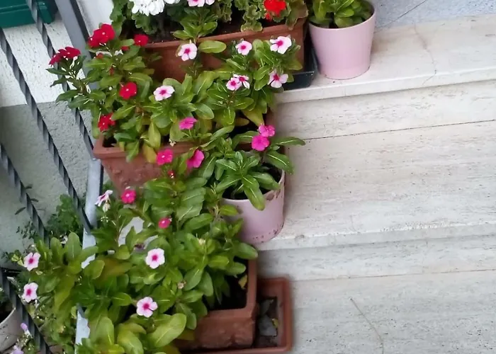 Apartament Soluna Maresca